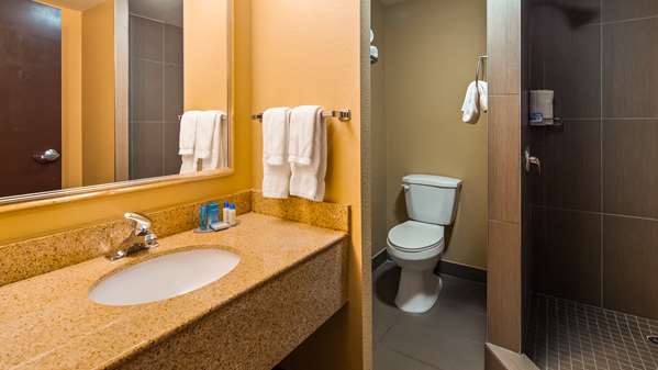  - Best Western Plus Atlanta Airport East Hotel Hapeville - I-75, Exit 239