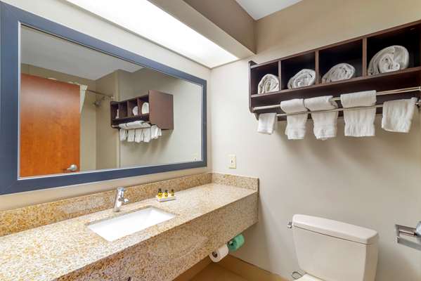  - Best Western Plus McDonough Inn & Suites - I-75, Exit 218