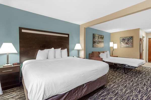  - Best Western Plus McDonough Inn & Suites - I-75, Exit 218