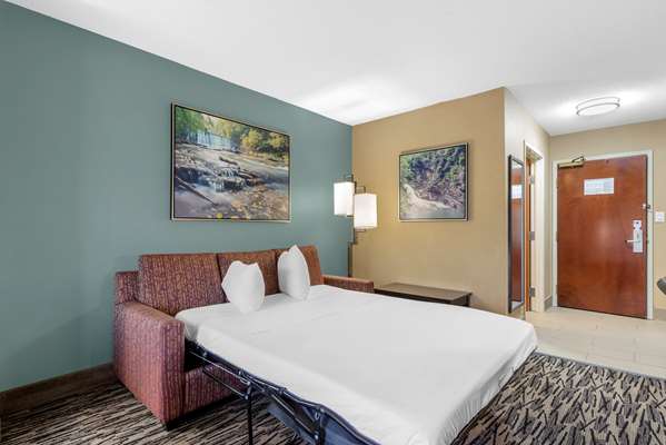  - Best Western Plus McDonough Inn & Suites - I-75, Exit 218