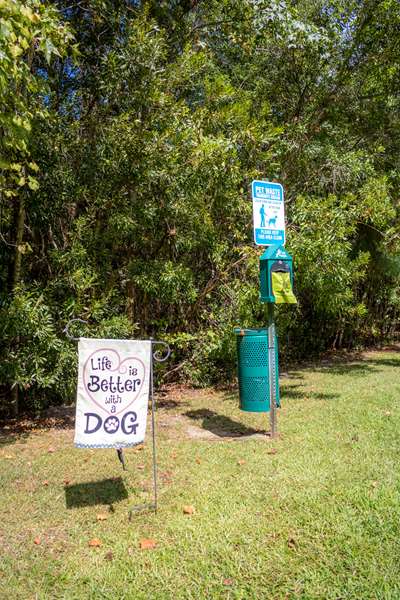  - Best Western Plus Richmond Hill Inn - I-95, Exit 87