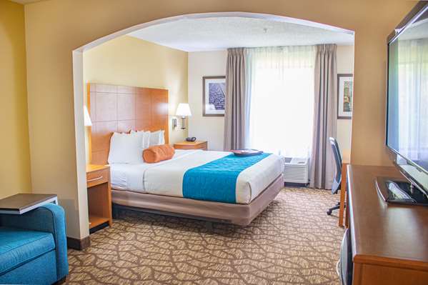  - Best Western Plus Richmond Hill Inn - I-95, Exit 87