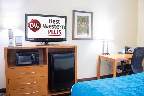  - Best Western Plus Richmond Hill Inn - I-95, Exit 87