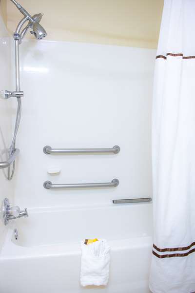  - Best Western Plus Richmond Hill Inn - I-95, Exit 87