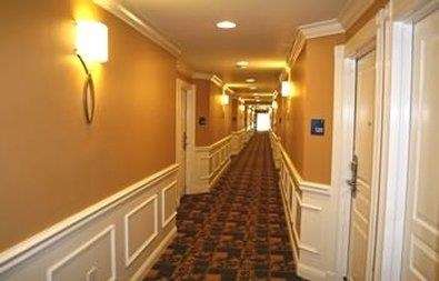  - Best Western Plus Kingsland Hotel - I-95, Exit 3