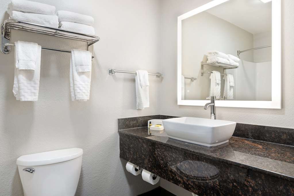 Best Western Savannah Airport Inn & Suites-guestroom-Guest Room,Bathroom,On-Site.jpg