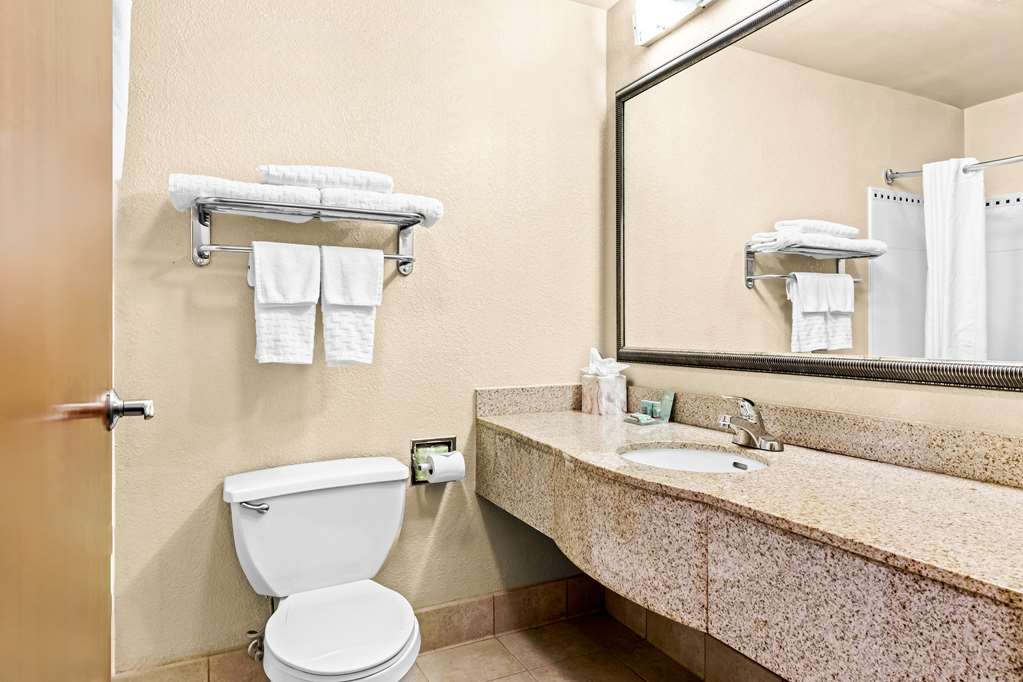 Best Western Gwinnett Center Hotel-guestroom-Guest Room,Bathroom,On-Site.jpg