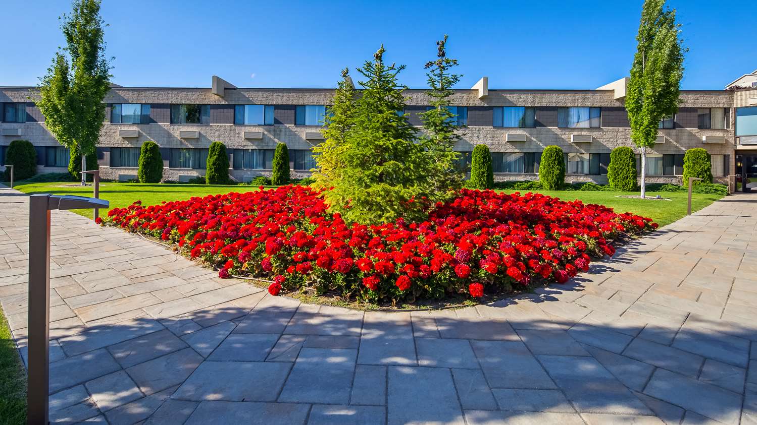 Best Western Plus University Inn Moscow, ID - See Discounts