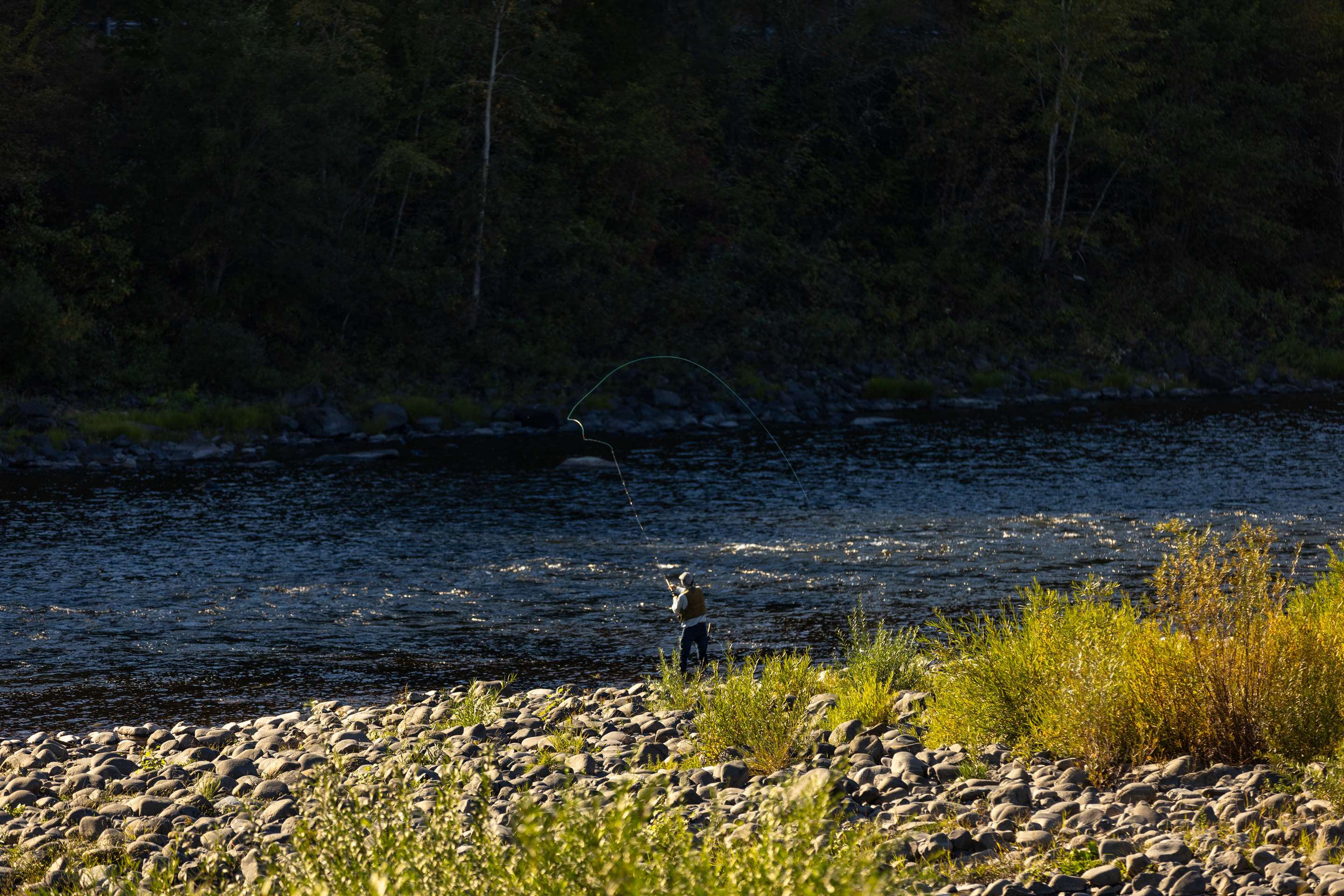 River View | Best Western Lodge At River's Edge