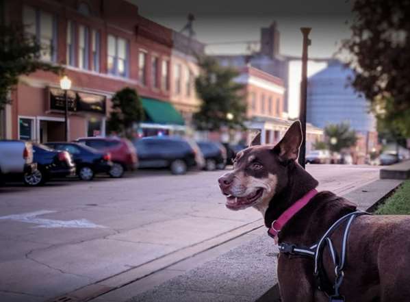  - Best Western Monticello Gateway Inn - I-72, Exit 166