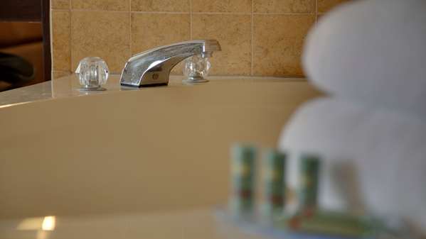  - Best Western Pontiac Inn - I-55, Exit 197