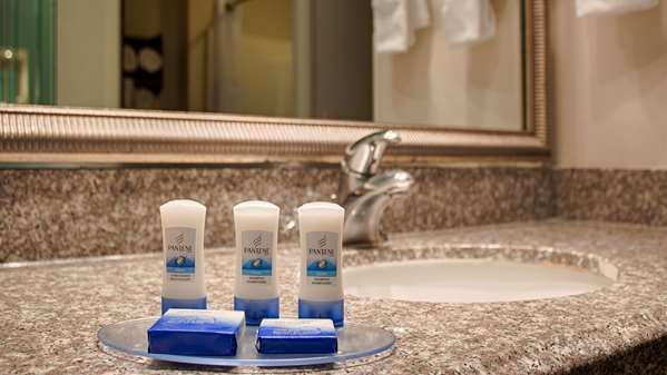  - Best Western Plus O'Hare South Hotel Franklin Park