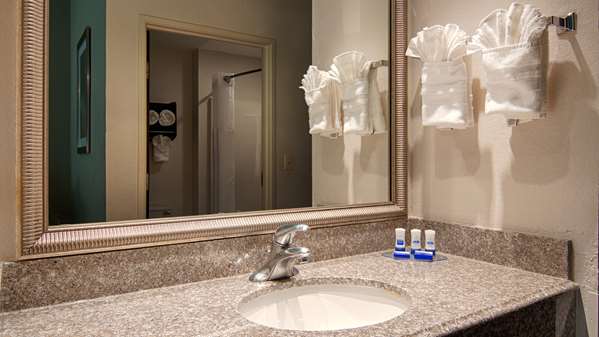  - Best Western Plus O'Hare South Hotel Franklin Park