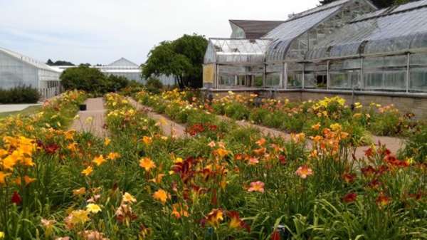  - Best Western Manhattan Inn