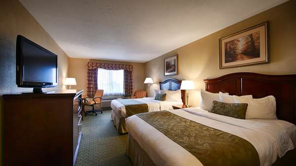 Guest Room,Indoor/Interior,On-Site