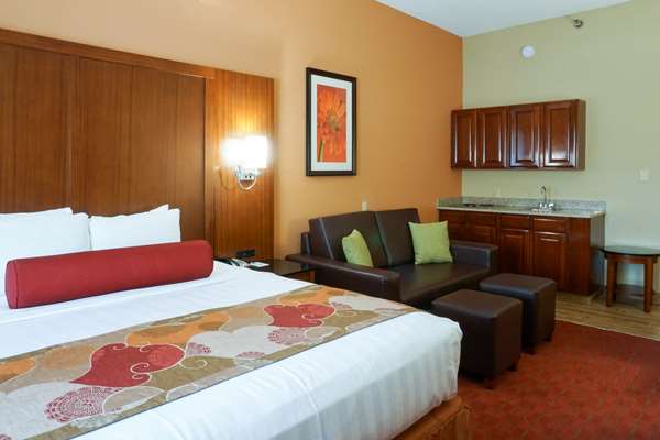 Suite - Best Western Plus Georgetown Corporate Center Inn - I-75, Exit 126