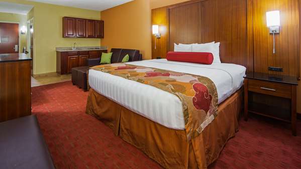  - Best Western Plus Georgetown Corporate Center Inn - I-75, Exit 126