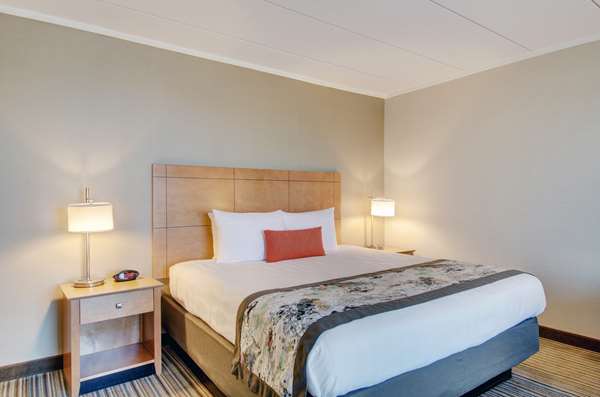  - Best Western Plus Waltham Boston Hotel