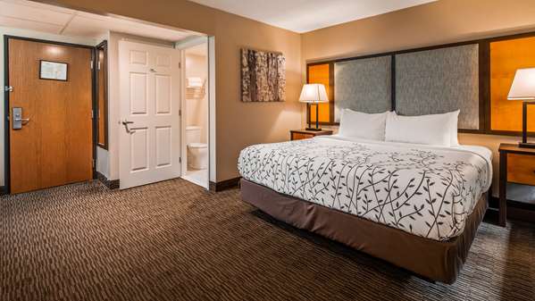  - Best Western Plus of Birch Run Hotel - I-75, Exit 136