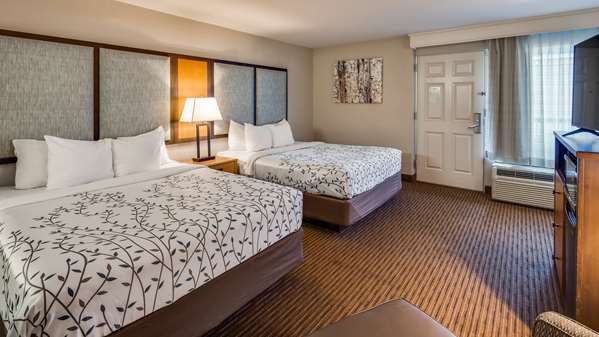  - Best Western Plus of Birch Run Hotel - I-75, Exit 136