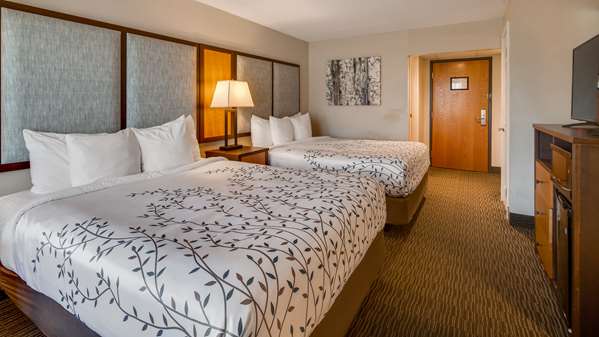  - Best Western Plus of Birch Run Hotel - I-75, Exit 136