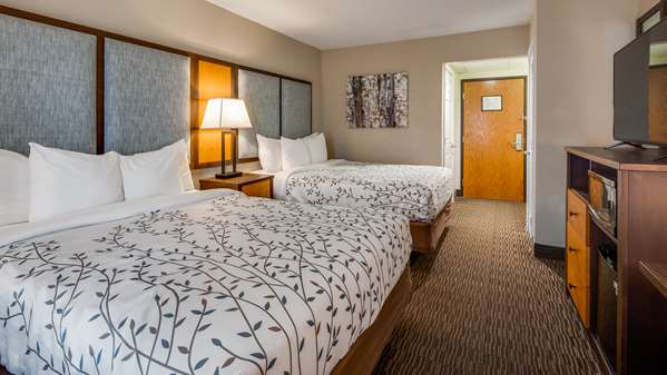  - Best Western Plus of Birch Run Hotel - I-75, Exit 136