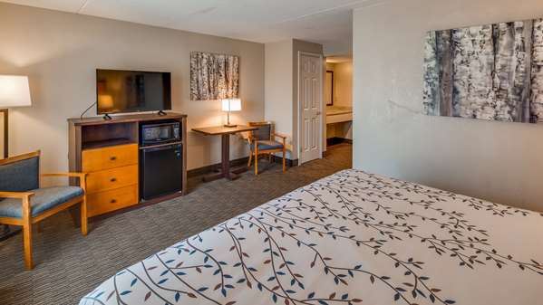  - Best Western Plus of Birch Run Hotel - I-75, Exit 136