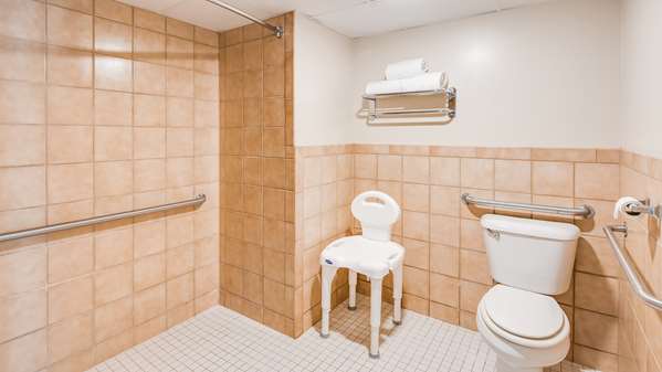  - Best Western Plus of Birch Run Hotel - I-75, Exit 136