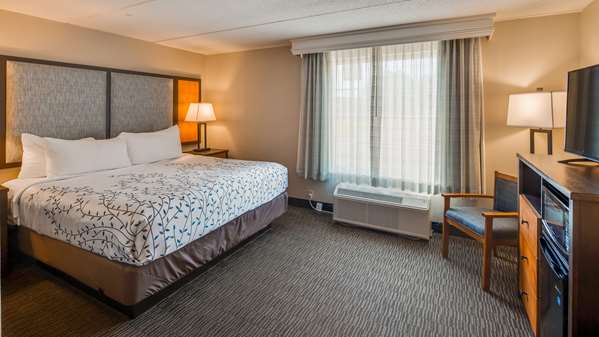  - Best Western Plus of Birch Run Hotel - I-75, Exit 136
