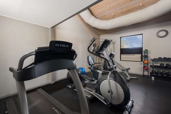 Fitness/ Exercise Room - Best Western Executive Inn Battle Creek - I-94, Exit 97