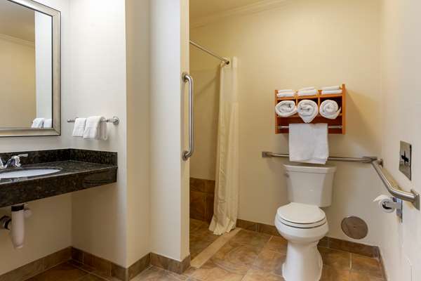  - Best Western Davidson Inn - I-69, Exit 145