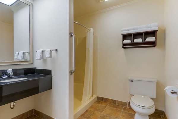  - Best Western Davidson Inn - I-69, Exit 145