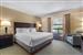 King Suite - Sofa Bed