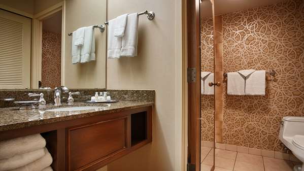  - Best Western Plus Normandy Inn & Suites Minneapolis