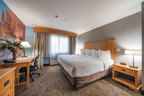 Suite - Best Western Plus Grantree Inn Bozeman - I-90, Exit 306