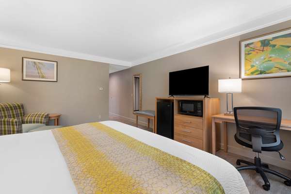  - Best Western Plus Executive Court Inn Manchester