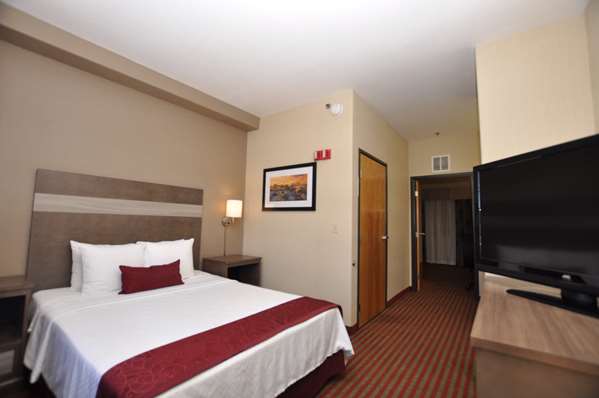 Suite - Best Western Plus Executive Suites Albuquerque - I-25, Exit 228