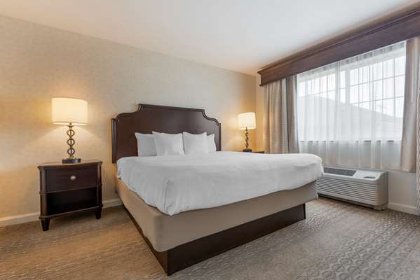  - Best Western Plus Vineyard Inn & Suites Penn Yan