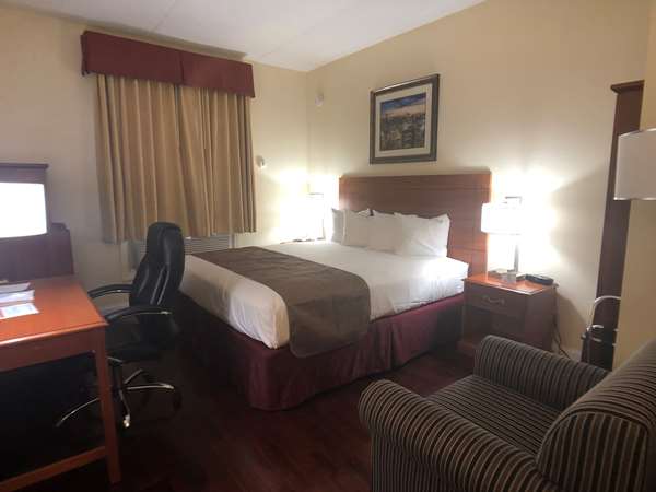  - Best Western Queens Jamaica Inn