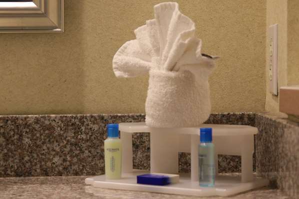  - Best Western Plus Galleria Inn & Suites Cheektowaga - I-190, Exit 1