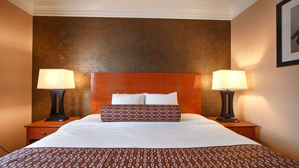 Suite - Best Western Rochester Inn - I-390, Exit 18