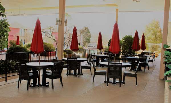 Recreation - Best Western Plus Burlington Inn - I-40 & I-85, Exit 141