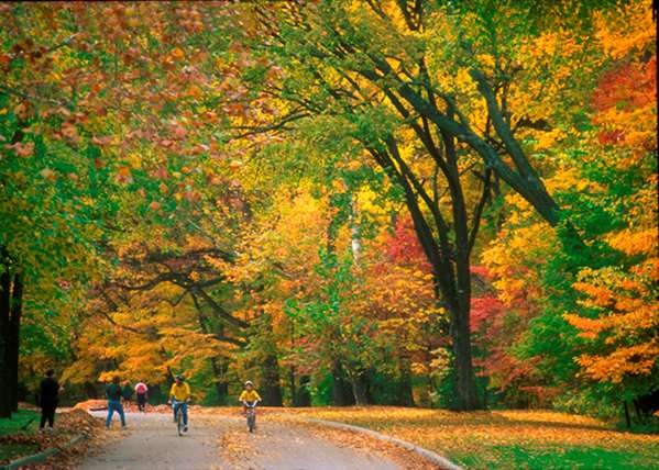  - Best Western Premier Mariemont Inn Cincinnati