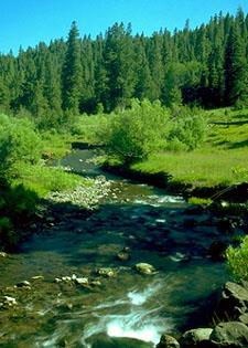  - Best Western Skyline Motor Lodge Lakeview