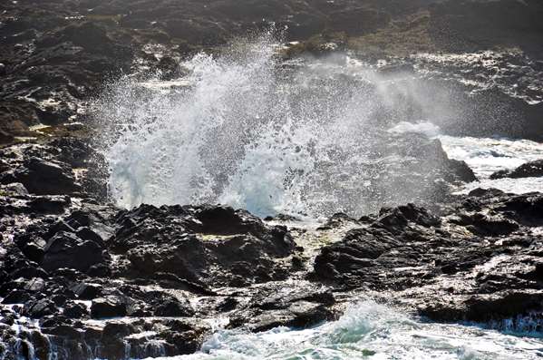 Beach - Best Western Pier Point Inn Florence