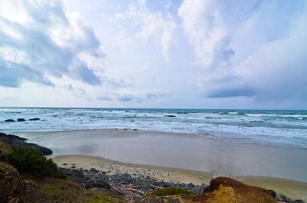 Beach - Best Western Pier Point Inn Florence
