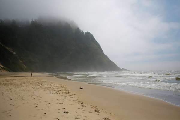 Beach - Best Western Pier Point Inn Florence