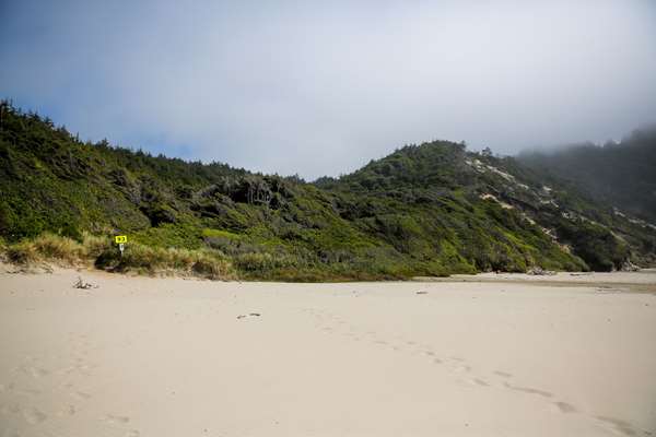 Beach - Best Western Pier Point Inn Florence
