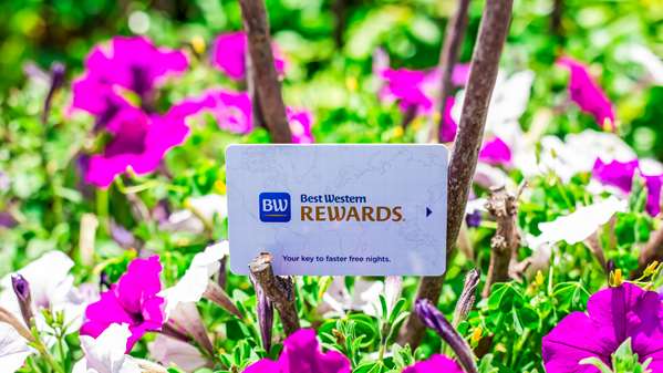  - Best Western Grants Pass Inn - I-5, Exit 55