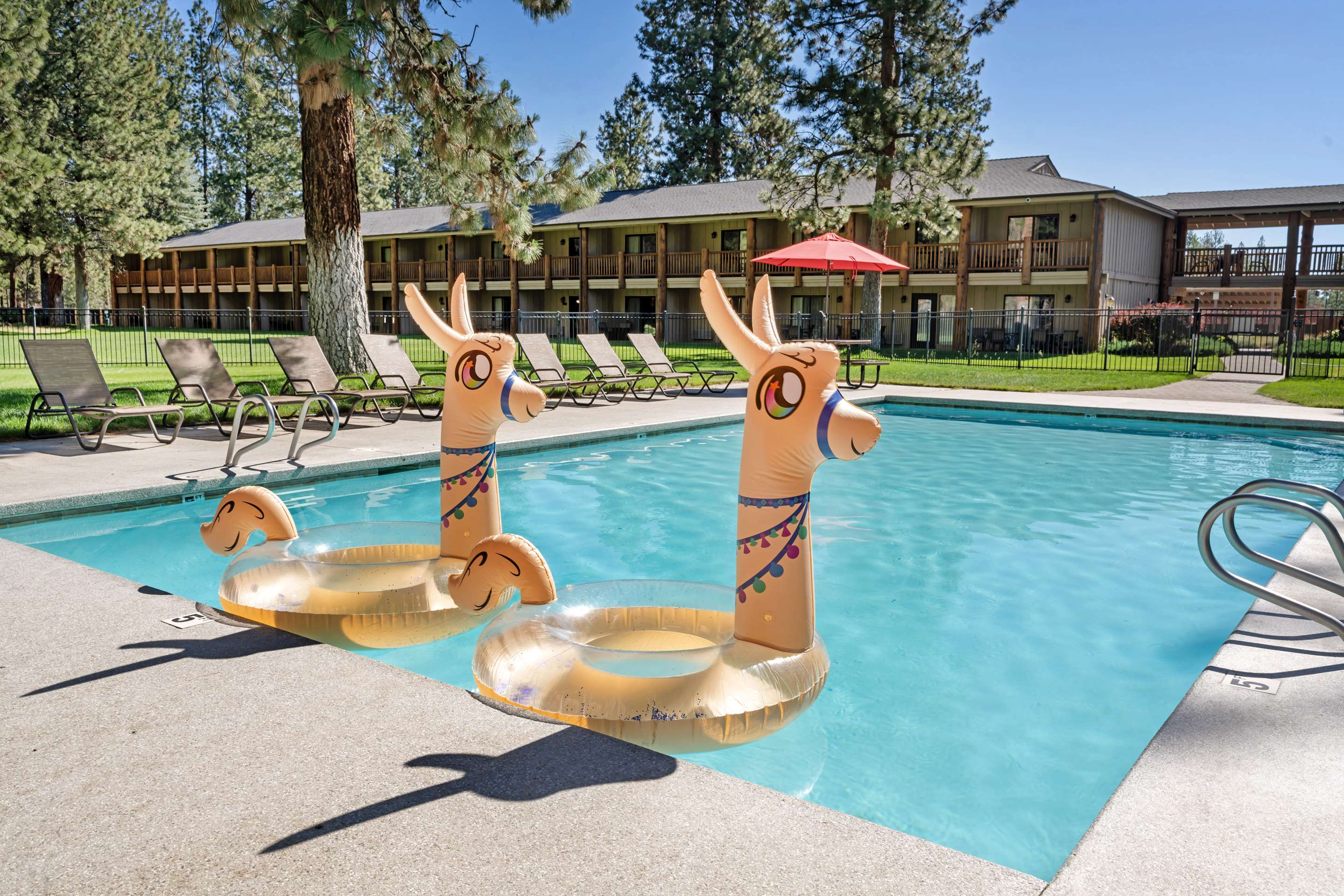 Outdoor Pool / Hot Tub | Best Western Ponderosa Lodge